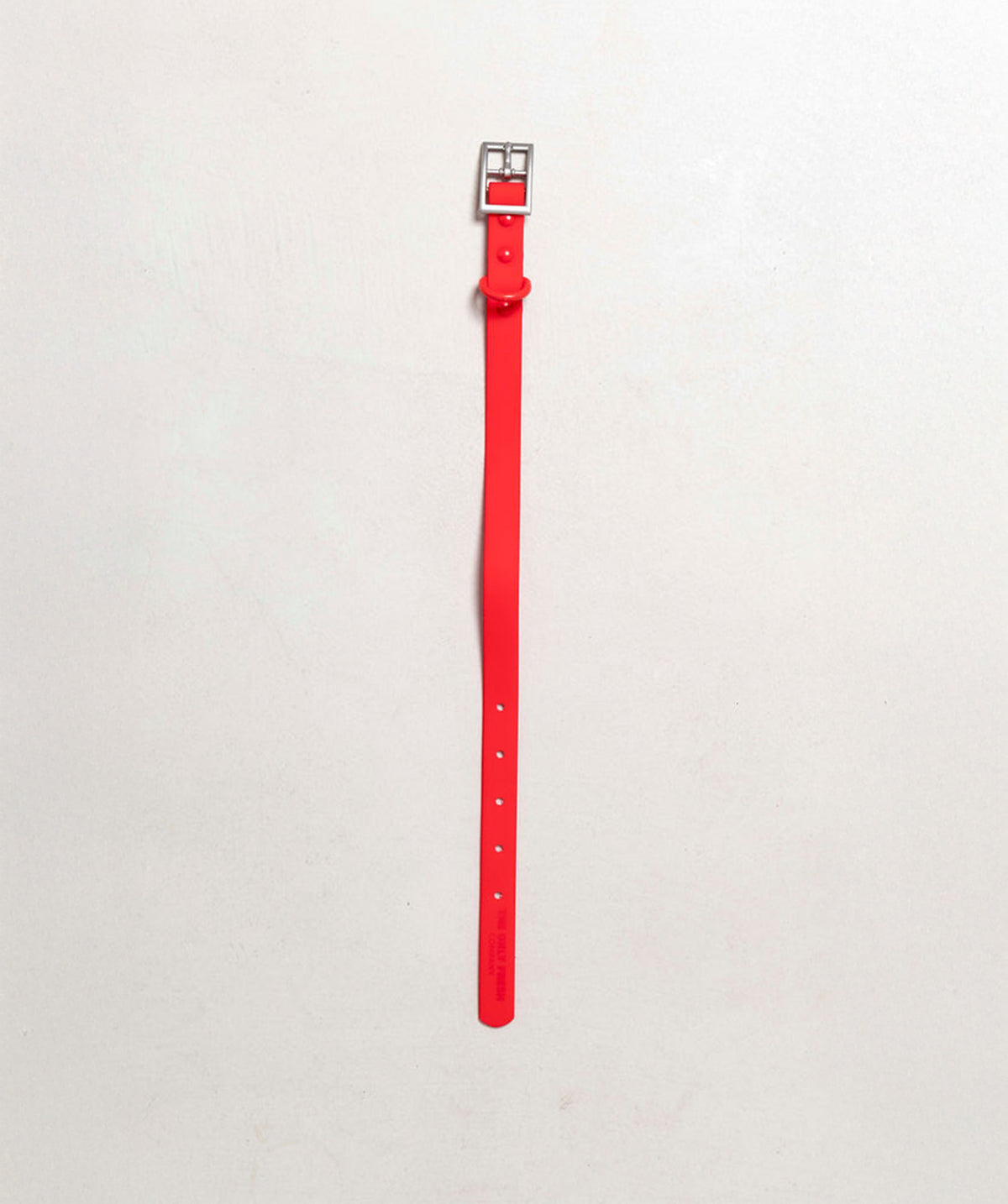 Smart Dog Collar - Multicolore