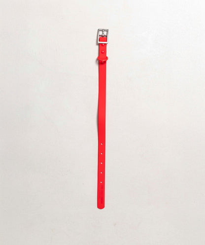 Smart Dog Collar - Multicolore