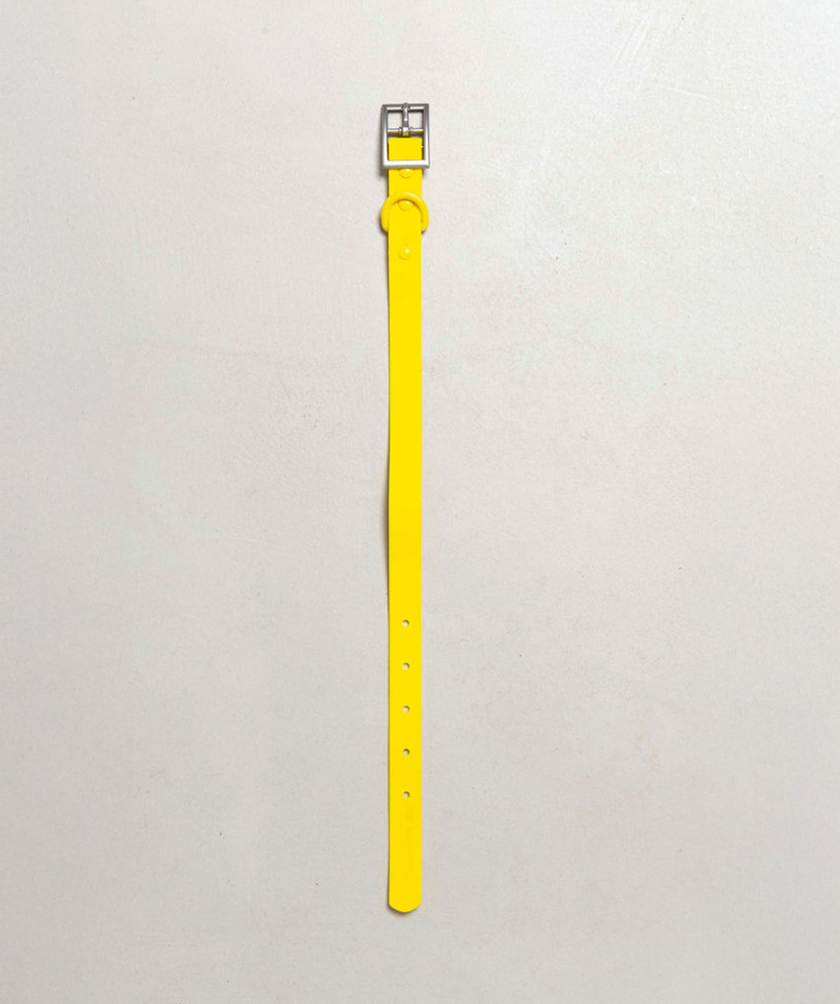 Smart Dog Collar - Multicolore