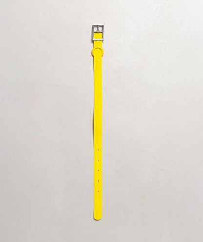 Smart Dog Collar - Multicolore