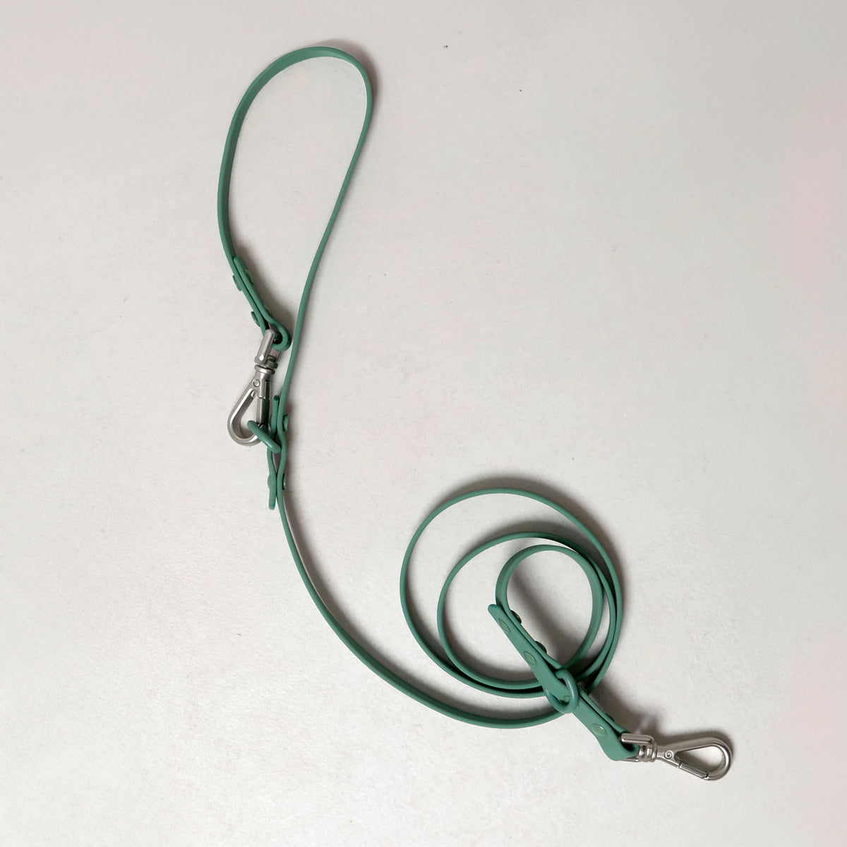 Smart Dog Leash