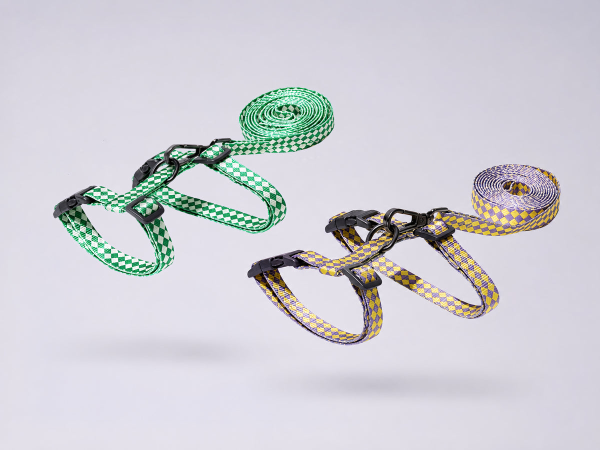 Leash & Harness Kit for cats