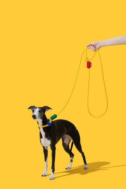 Connect Hands-Free Rope Leash Chroma
