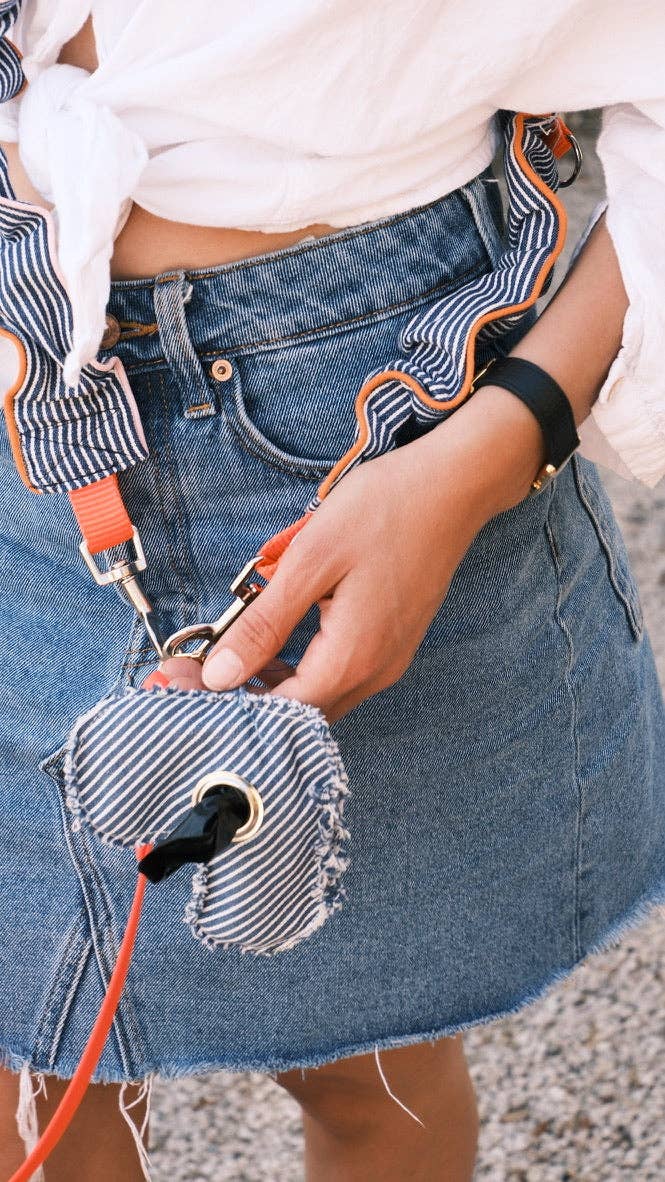 Blue striped leash - correa