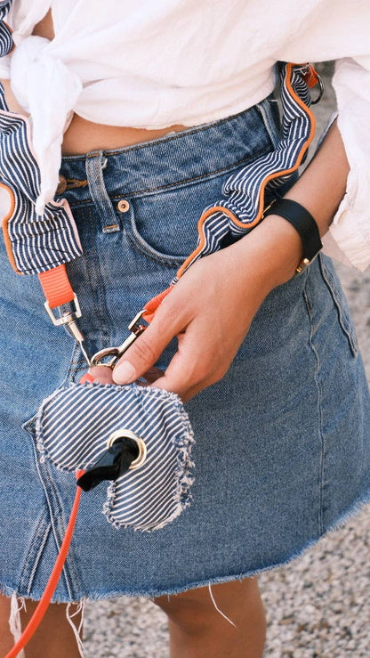 Blue striped leash - correa
