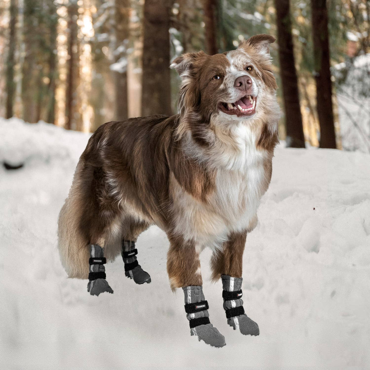 Booties For Dogs - 4pcs/pac