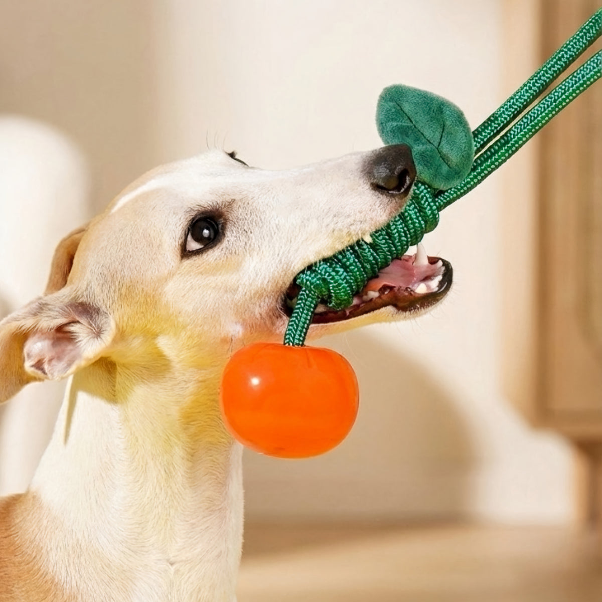 Mandarine chew