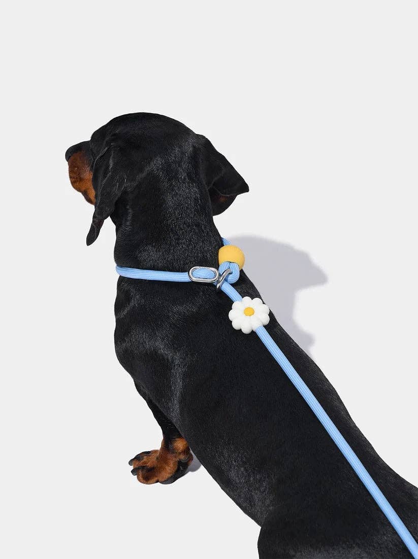 Connect Lite Rope Leash - correa