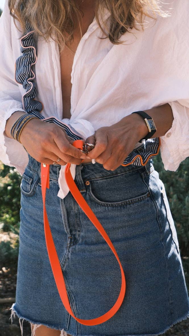 Blue striped leash - correa