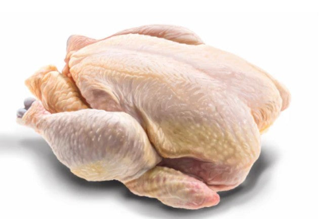Pollo fresco, fuente de proteína de Trovet Plus