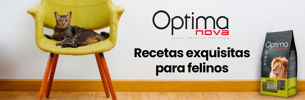 image-banner