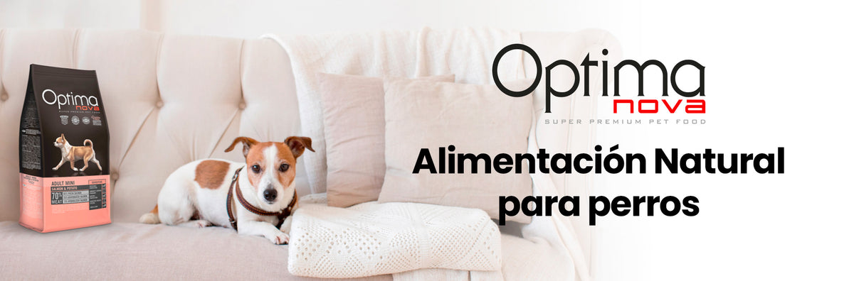 image-banner