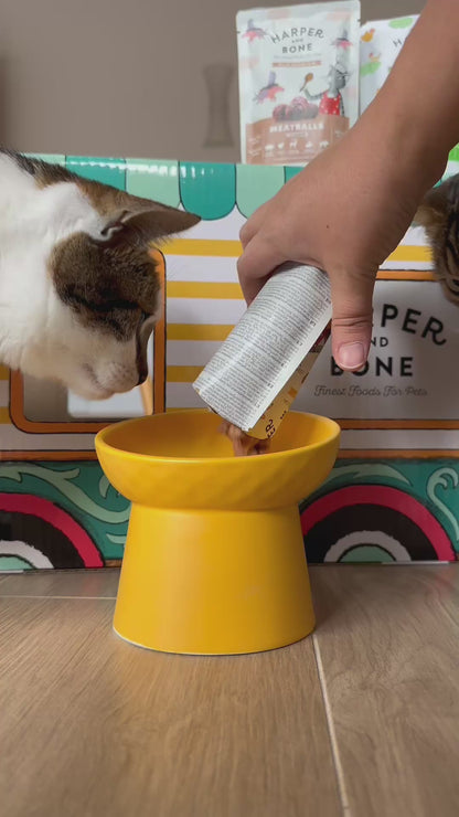 Meatballs for Cats - Ocean Wonders