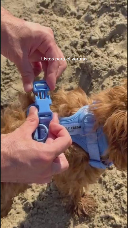 Smart Harness