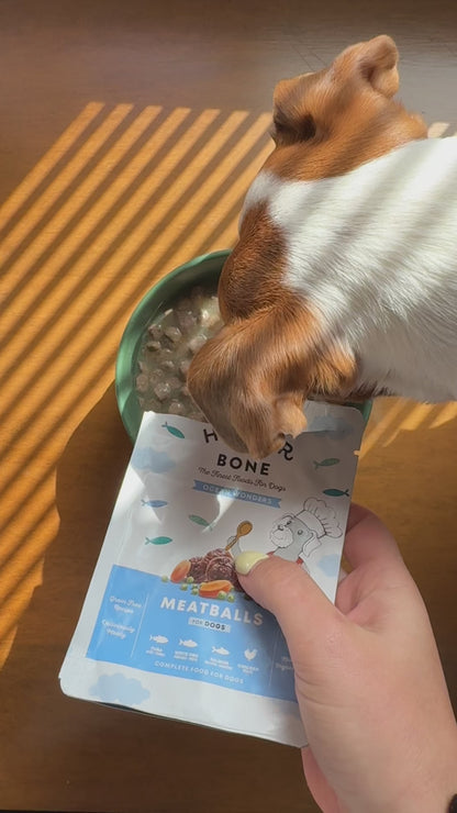 Meatballs for Dogs - Ocean Wonders