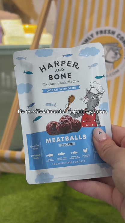 Meatballs for Cats - Ocean Wonders