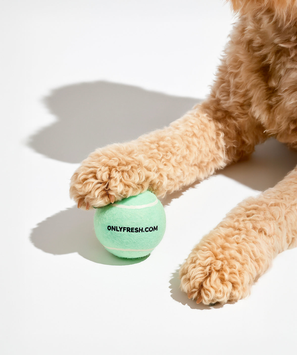 Bolas Tennis Balls Onlyfresh para brincadeira e treino de cães