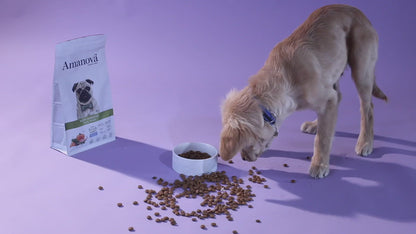 Puppy digestive - Divine Rabbit