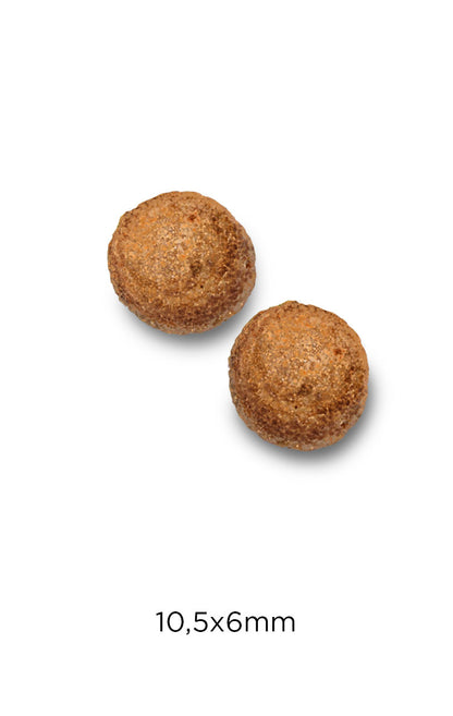 Cat Hairball - Chicken & Rice