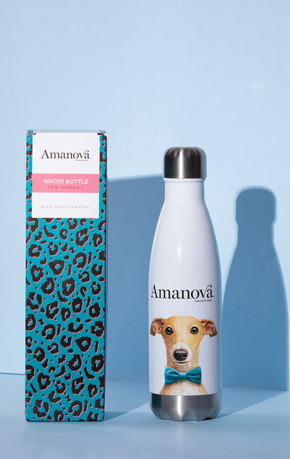 Thermal Bottle – Amanova
