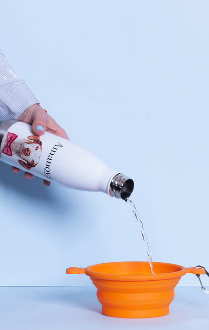 Thermal Bottle – Amanova