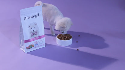 Puppy Sensitive - Salmon deluxe