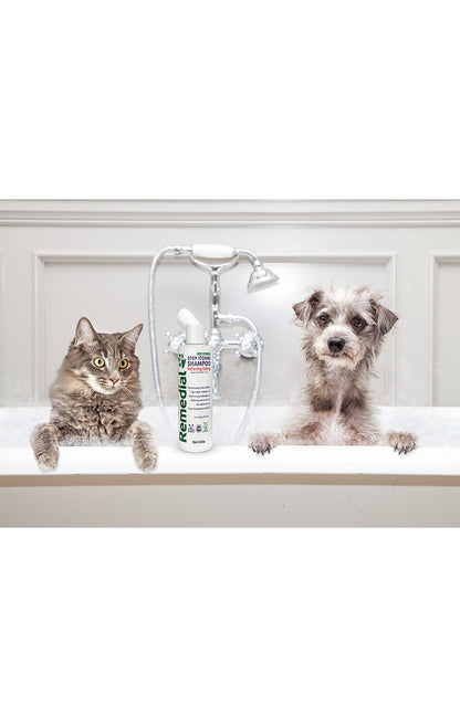 Shampoo antiossidante