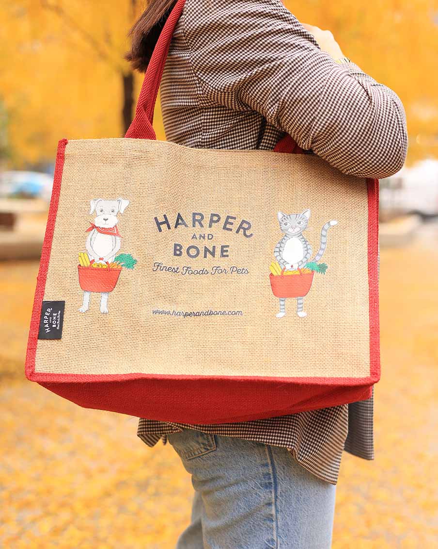 Harper & Bone shopping bag